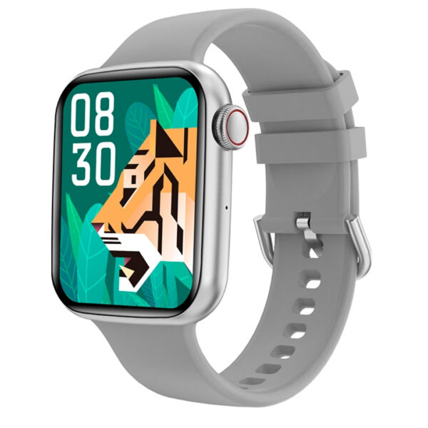 SMARTWATCH TEROS TE-8080 SILVER Ip68 PANTALLA 1.78¨ AMOLED